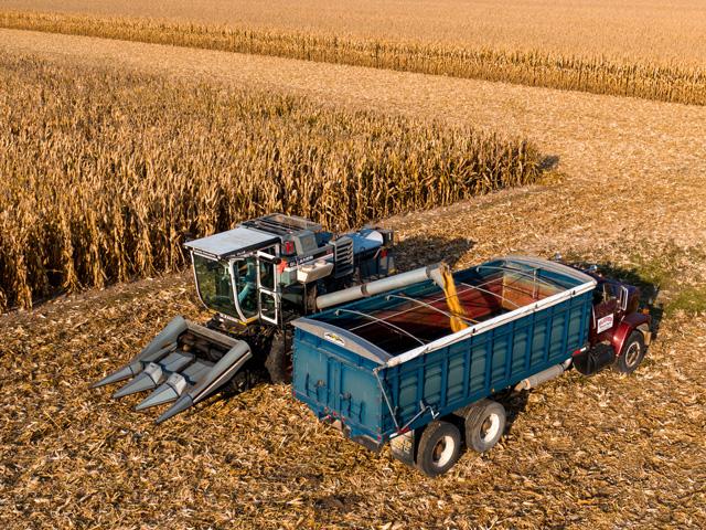 article illustration